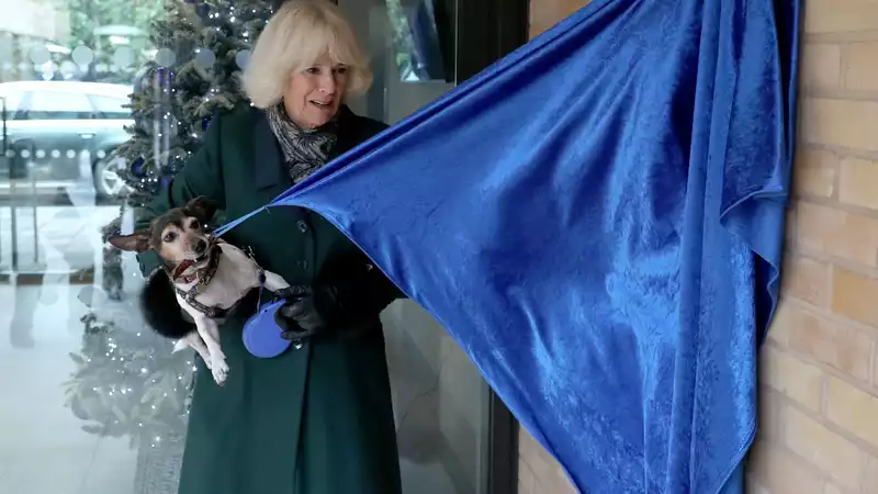 Duchess Camilla poses with her Jack Russell terrier on her 75th birthday.