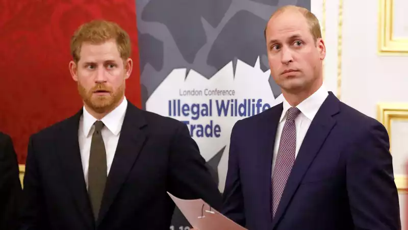 Prince Harry and Prince William's relationship 'forever changed' by royal withdrawal