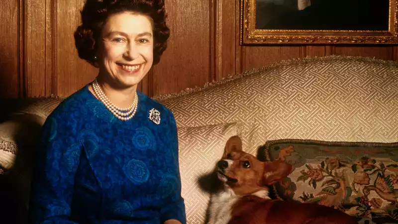 Don't insult Queen Elizabeth's corgi.