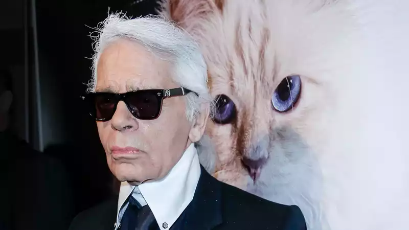 Karl Lagerfeld's cat, Choupette, celebrates her 11th birthday with champagne and cake on a private jet.