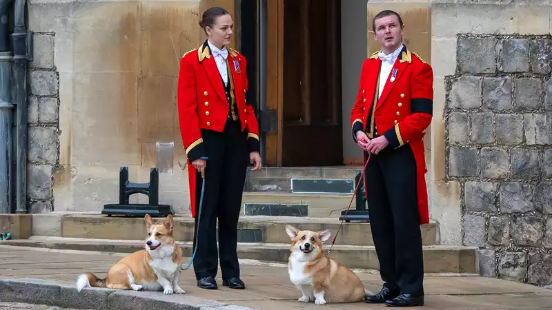 When the queen died, her two beloved corgis were in the room.