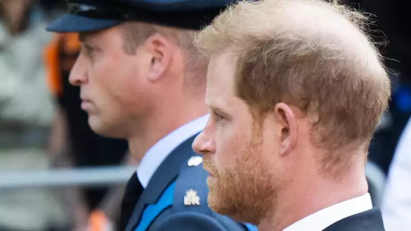 Prince Harry easily turns down a meeting with Prince William with two words.