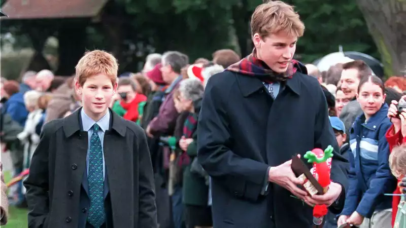 Prince William and Prince Harry get into trouble as teenagers because Prince Charles did not pay enough attention to them, the book argues.