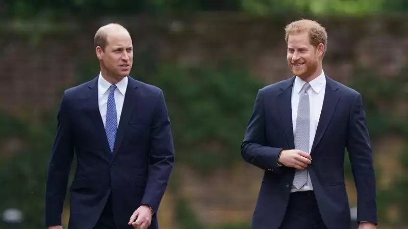 Princess Meghan & Harry," including Princess Diana's "Panorama" interview, is "sharply hurtful" to Prince William, says royal expert.