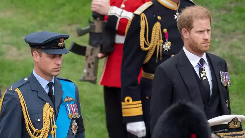 Prince Harry's Memoir Will Not "Destroy the Institution," Royal Writer Claims