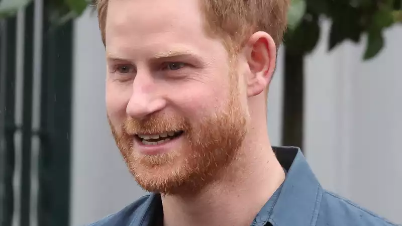 Palace Officials Criticize Prince Harry for Turning His Back on the Royal Family