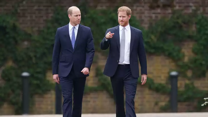 Prince Harry should have been Prince William's "wingman" but instead became a "hitman," royal expert says