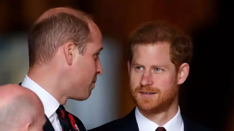 Prince Harry and Prince William Show No "Willingness" to "End" Royal Feud, Experts Claim