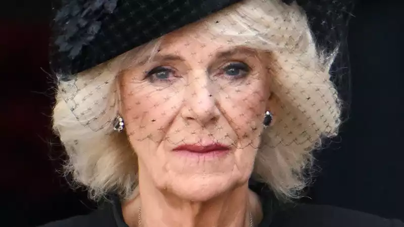 New book premieres Queen Camilla's poignant two-word promise made to Queen Elizabeth shortly after her death.